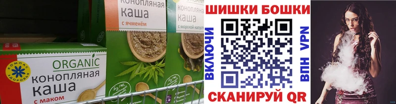 гидра tor  дарнет шоп  Черногорск  Canna-Cookies конопля 