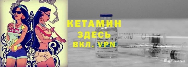 прущие крисы Горняк