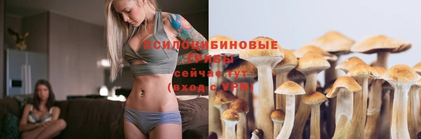 прущие крисы Горняк