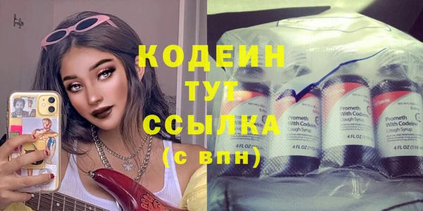 прущие крисы Горняк