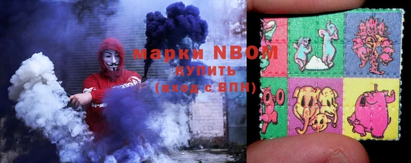 прущие крисы Горняк