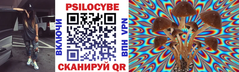 Псилоцибиновые грибы Cubensis  даркнет сайт  гидра как войти  Черногорск 